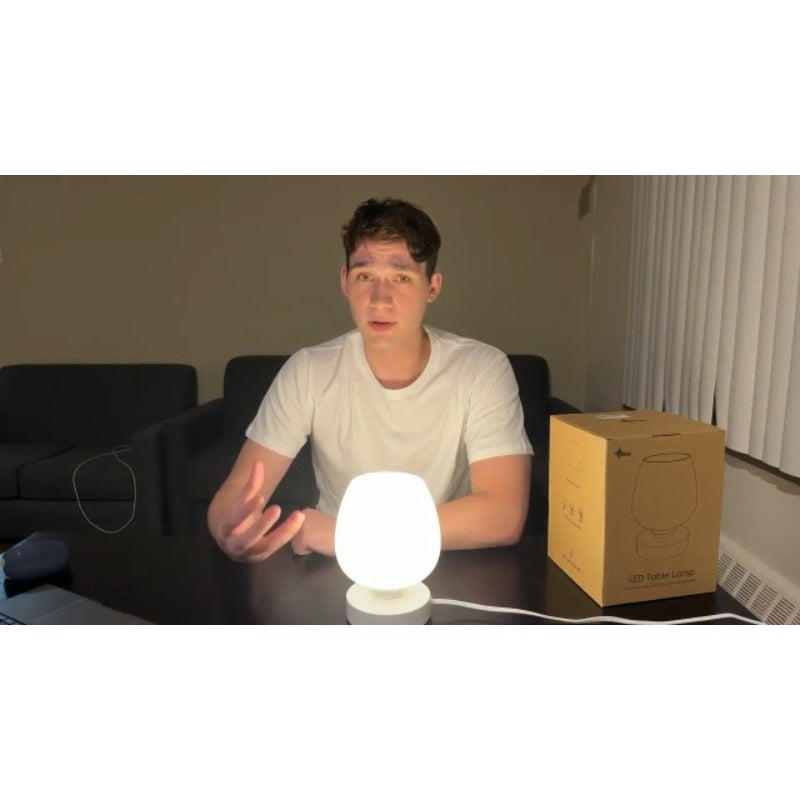 Touch bedside lamp - modern small bedroom bedside lamp, 3-level dimmable table lamp, with white opal glass lampshade, night light for room decoration, minimalist design gift, warm white bulb included