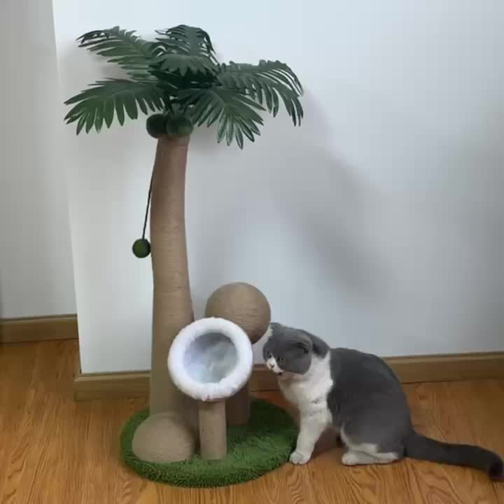 猫爬架椰树椰果猫爬架猫抓柱猫窝