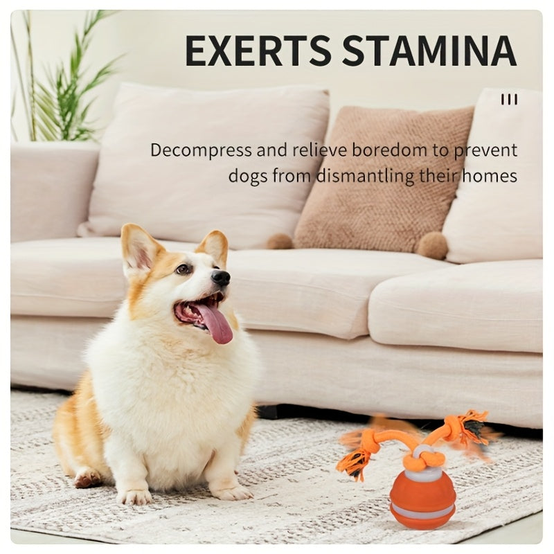 狗狗互动玩具，运动感应滚动球，适合小型犬和幼犬，自动移动狗玩具，可充电
