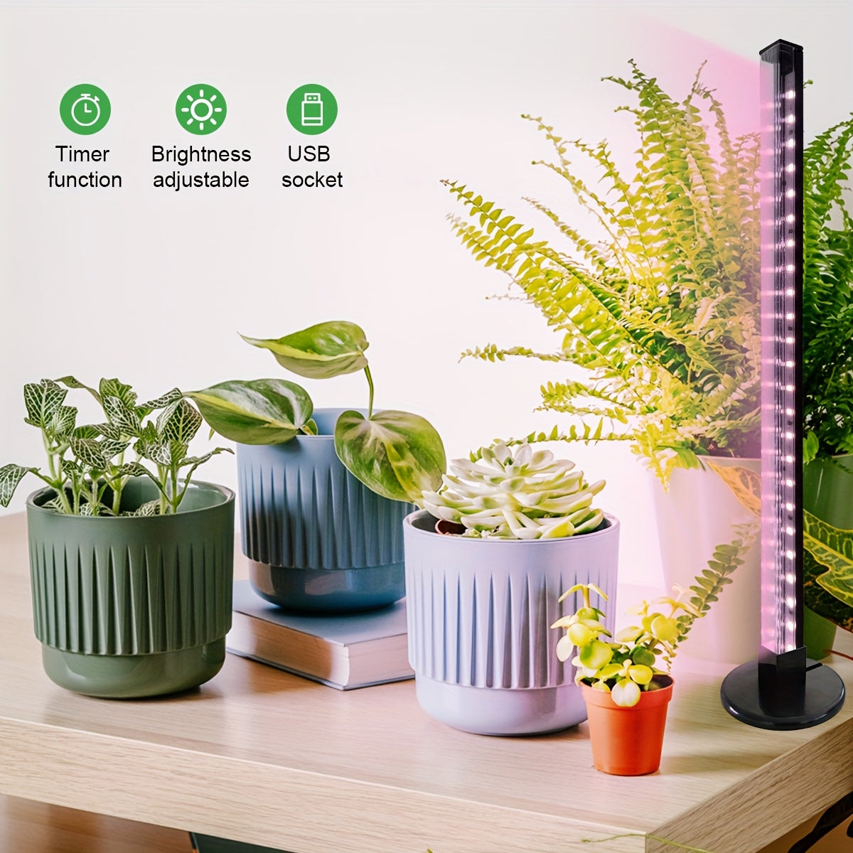 Indoor Full Spectrum Plant Grow Light, USB Desktop Plant Supplement Light, 2/4/8H Auto Timer, Dimmable Brightness, Ideal for Succulents and Small Plants