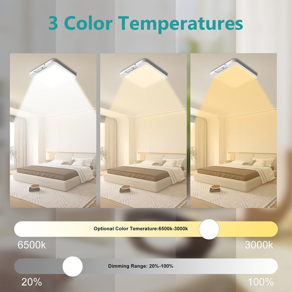 Indoor Ceiling Light, Color Adjustable Ceiling Light, Ceiling Lamp, Indoor Decorative Light