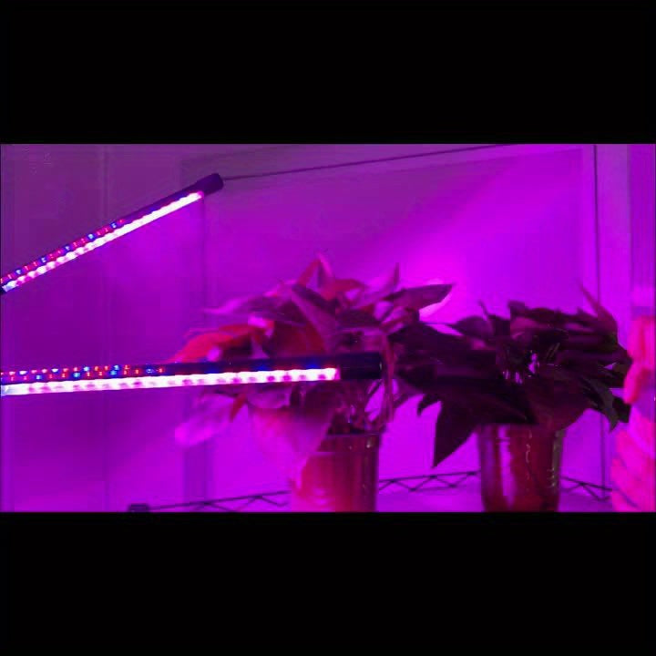 室内植物生长灯，配备五头灯头，具有红、蓝和白光全光谱能力，配有可调节三脚架，范围从29到61英寸，灯具包括遥控器和自动开/关定时器功能
