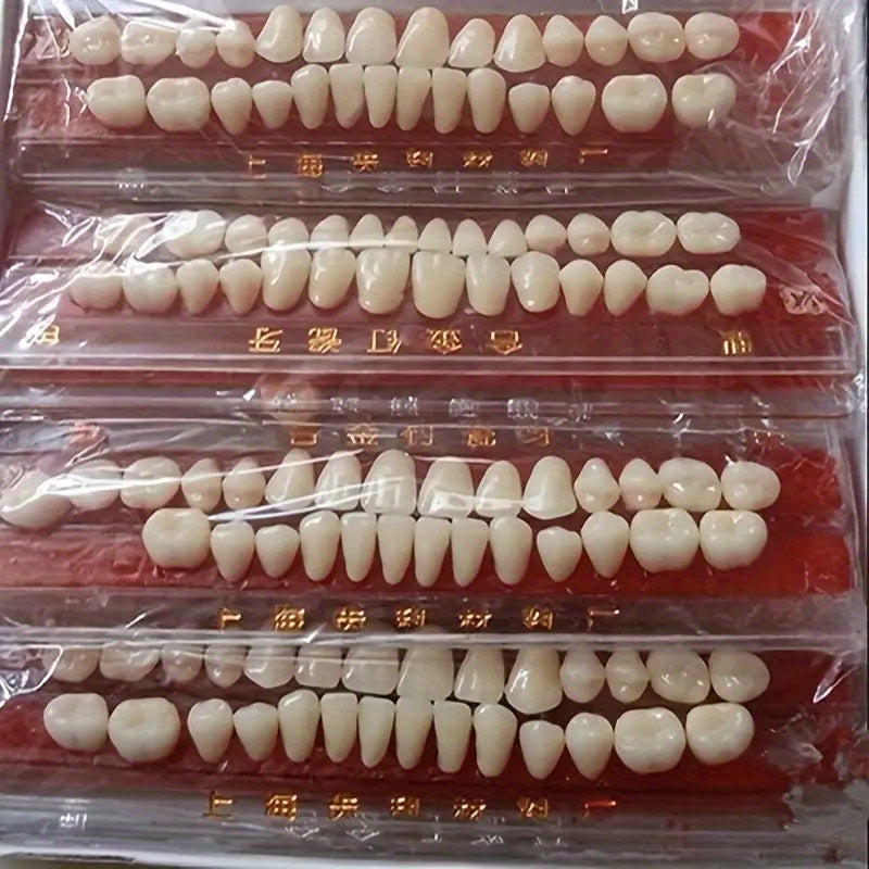 2套56颗 自然形态牙科教学假牙：精细牙齿结构，优质聚丙烯材质，助力口腔护理教育