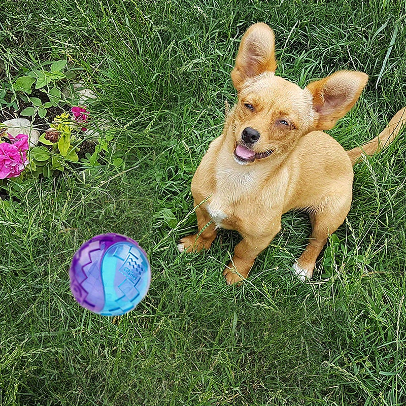 狗狗玩具球发声球高弹耐咬磨牙玩具球幼犬小型犬互动宠物玩具球