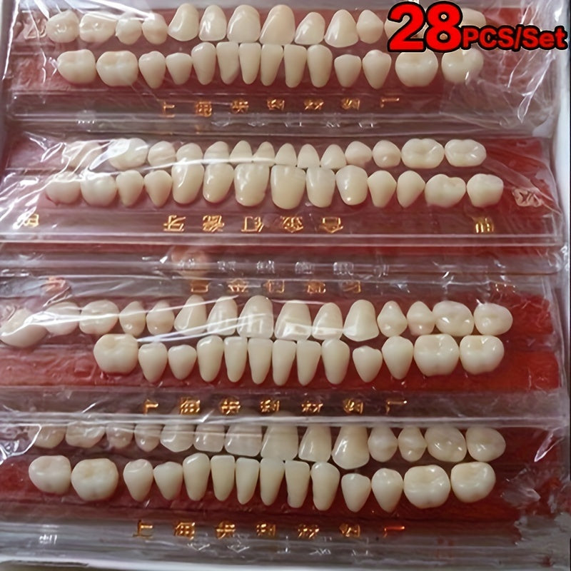1套树脂牙齿材料颜色色板牙齿口腔材料树脂牙齿模型假牙