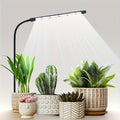 USB Powered 6000K Full Spectrum Indoor Plant Grow Light - For Seeds, Succulents & Small Pots, Auto Timer & Dimmable Indoor Plant Growing Lamp