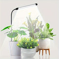 Full Spectrum LED Indoor Plant Grow Light - 6000K, Gooseneck Design, Auto On/Off & 5 Dimmable Levels, USB Powered, Ideal for Seedlings, Succulents and Small Plants