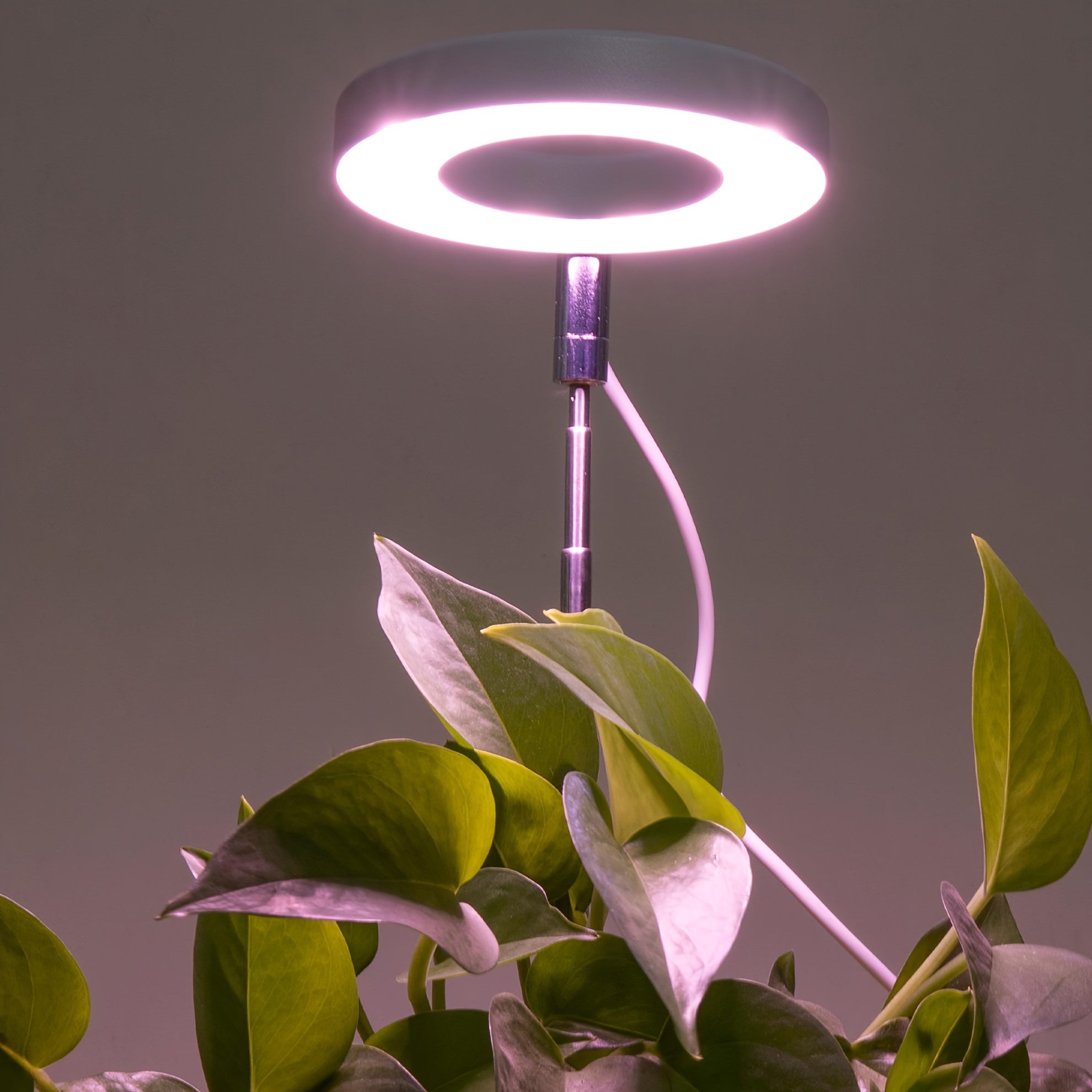 1PC LED Plant Grow Light, USB Powered Full Spectrum Sunlike Potted Plant Grow Lamp, 4-Level Dimmable Timer, Plant Supplement Grow Light with 1 Timer