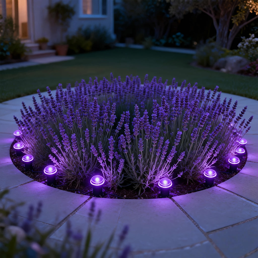 30 LED Solar Garden Light, Purple Fairy Light, IP44 Waterproof Durable, Ground Insert Outdoor Garden Lamp, Decorative Lighting for Walkways, Lawns, Camping Parties etc.