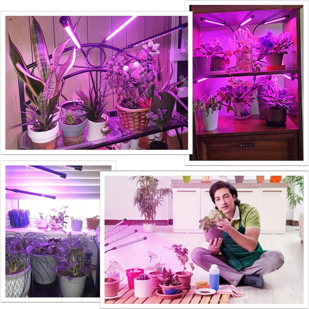 Grow Healthy Indoor Plants with This USB Phyto Lamp LED Plant Grow Light