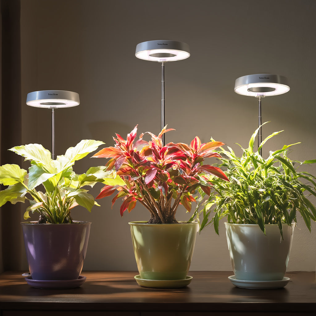 2-Pack Plant Grow Light, Full Spectrum, 3/6/9H Auto Timer, 4-Level Dimmable, Height Adjustable, Ideal for Small Potted Plants, Gardens, Plant Lovers, Perfect as Halloween & Christmas Gift