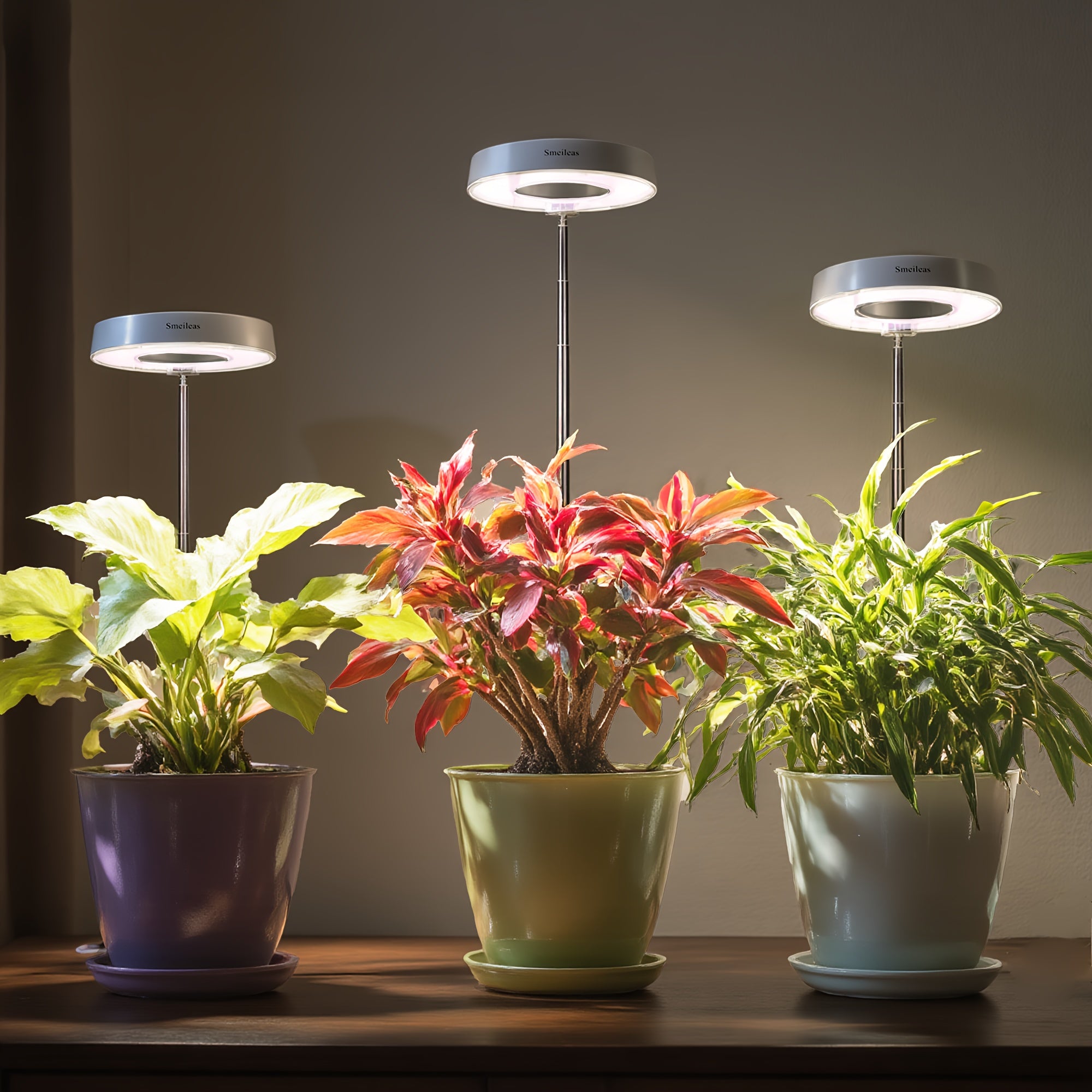 2-Pack Plant Grow Light, Full Spectrum, 3/6/9H Auto Timer, 4-Level Dimmable, Height Adjustable, Ideal for Small Potted Plants, Gardens, Plant Lovers, Perfect as Halloween & Christmas Gift