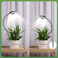 Indoor plant grow light, full spectrum plant light, suitable for indoor plants, height adjustable, 10 brightness levels, automatic on/off timer (3/9/12 hours), suitable for indoor plants and potted plants