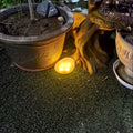 Solar Artificial Stone Light, Indoor & Outdoor Dual-Use Simulation Lighting, Auto On/Off No Wiring Required, Spherical LED Ambient Light, Courtyard Pathway Patio Tabletop Decorative Lighting