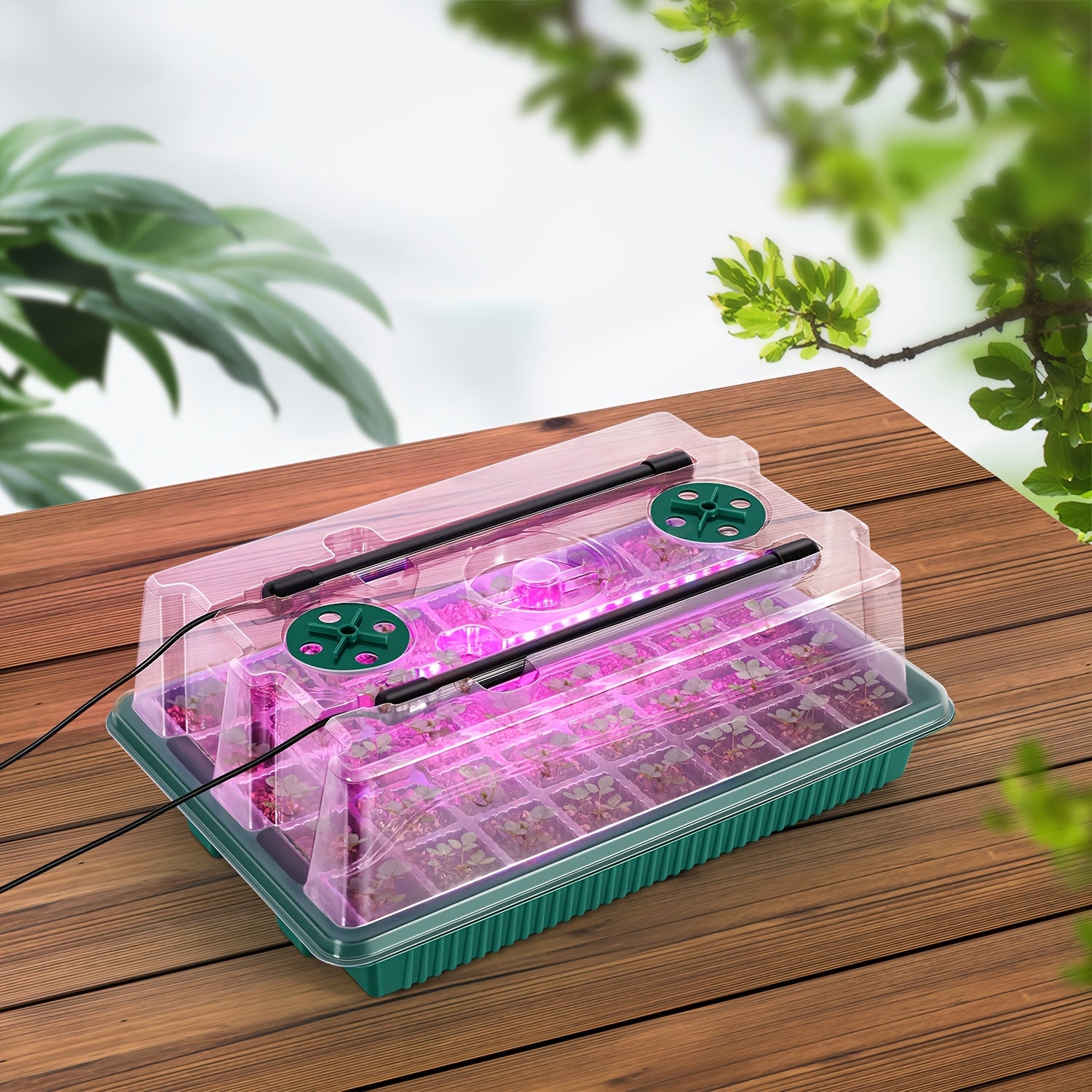 2 Pcs 40-Cell Seed Starter Tray Set with Grow Light | OYEAL Mini Greenhouse, for Seed Growth Germination, USB Powered, Plastic Material