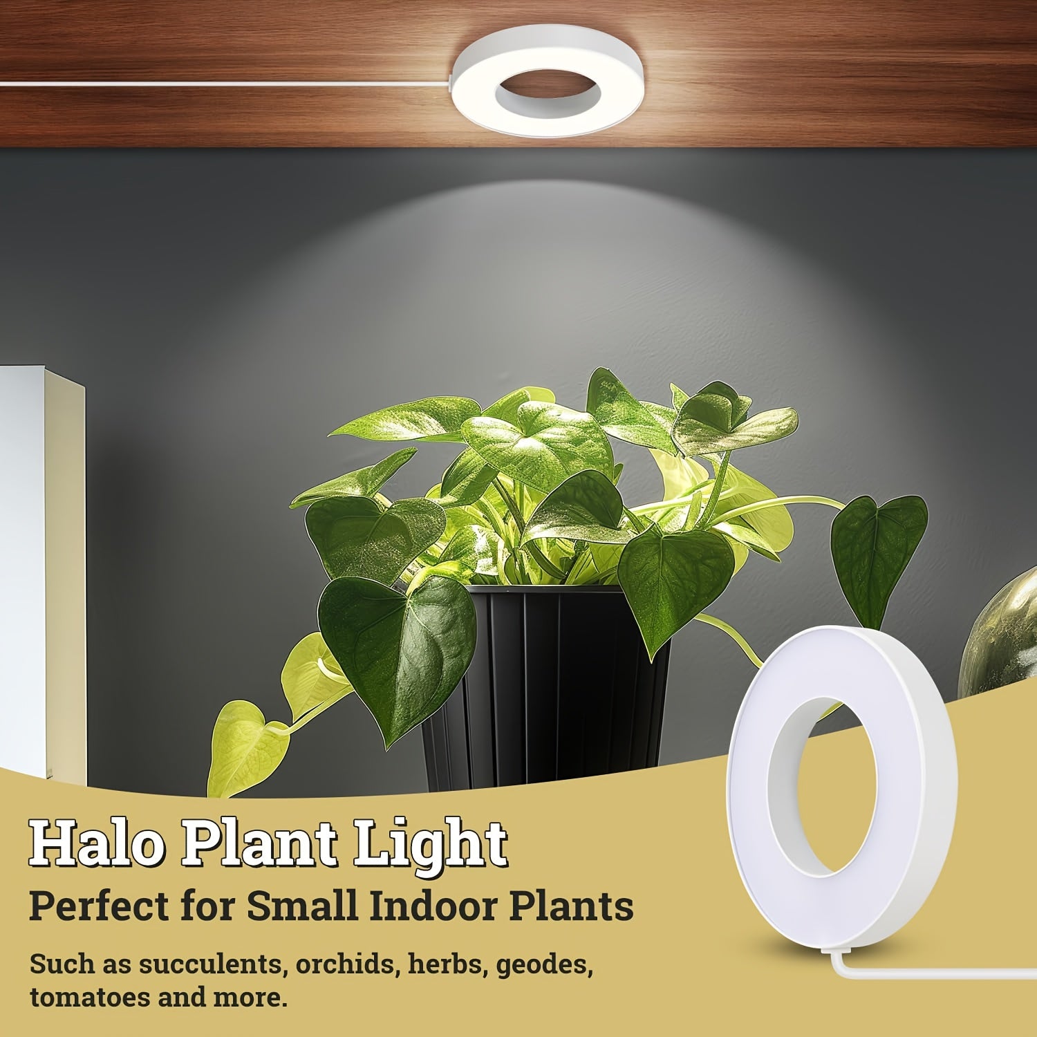 LED Plant Grow Light, Auto On/Off with 3 Adjustable Color Modes, Full Spectrum Plant Lamp, 10 Brightness Levels & Timing Mode, Ideal for Indoor Plants, Herbs and Flowers. Durable Plastic Construction, USB Powered, No Battery Required