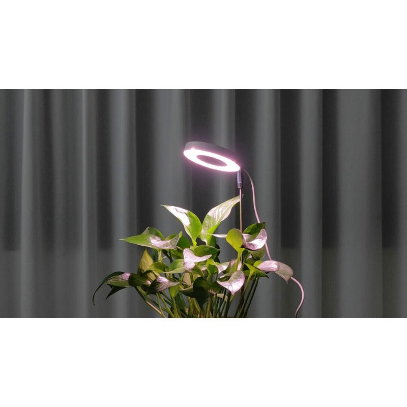 LED Full Spectrum Plant Grow Light, Adjustable Desktop Plant Light Strip with 2/4/8H Auto Timer, Summer-like Sunlight for Plants, 4 Dimming Levels, Height Adjustable 8-26 Inch, Ideal for Indoor Plant Growth