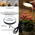 New USB Plant Grow Light, 3.74 Inch Wide Head, Height Adjustable, Multiple Lighting Modes Including Warm White and Yellow Light, Stepless Dimmable Brightness, Ideal for Potted Plants in Multiple Indoor Rooms