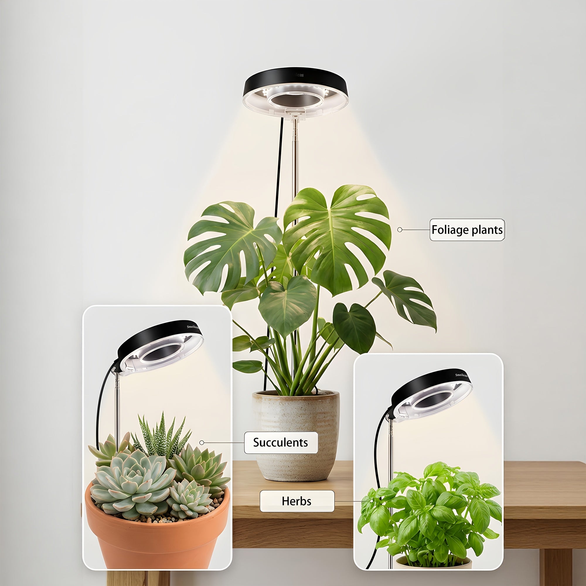 2-Pack Indoor Full Spectrum Grow Light, Retractable Lamp Pole, Stable Base, 720° Rotatable Lamp Head, 4 Brightness Levels, 3/6/9H Auto Timer, Ideal for Small Indoor Potted Plants and Seedlings