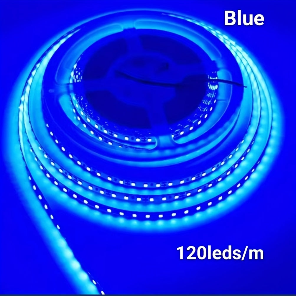 1卷 32.8Ft/10M 2835 24V 120 LED燈條 白/藍/綠/紅燈條，櫥櫃下燈，燈串，飯店 KTV 購物中心 家居裝飾燈，聖誕節裝飾燈，辦公室照明（不含電源，僅限室內使用）