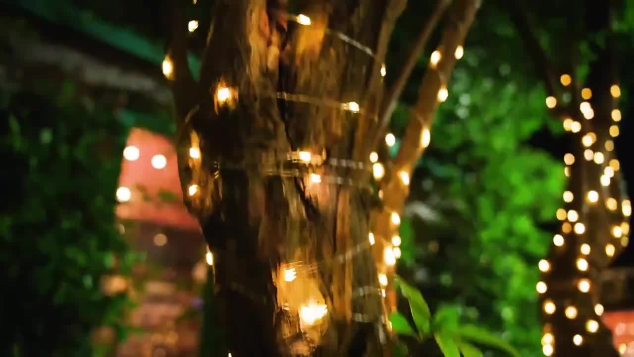 50/100/200/300LED锂电高亮太阳能灯户外花园仙女串灯，适用于圣诞院子树木派对婚礼装饰闪烁灯串，适用于11个国家的节日装饰万圣节装饰品，圣诞装饰品
