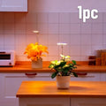 LED Plant Grow Light, Built-in 3/9/12 Hours Auto Timer and Dimmable Function, Height Adjustable. Perfect for indoor plants, herbs, vegetables and flowers in kitchen and home environments. USB Powered Adjustable Desk Lamp