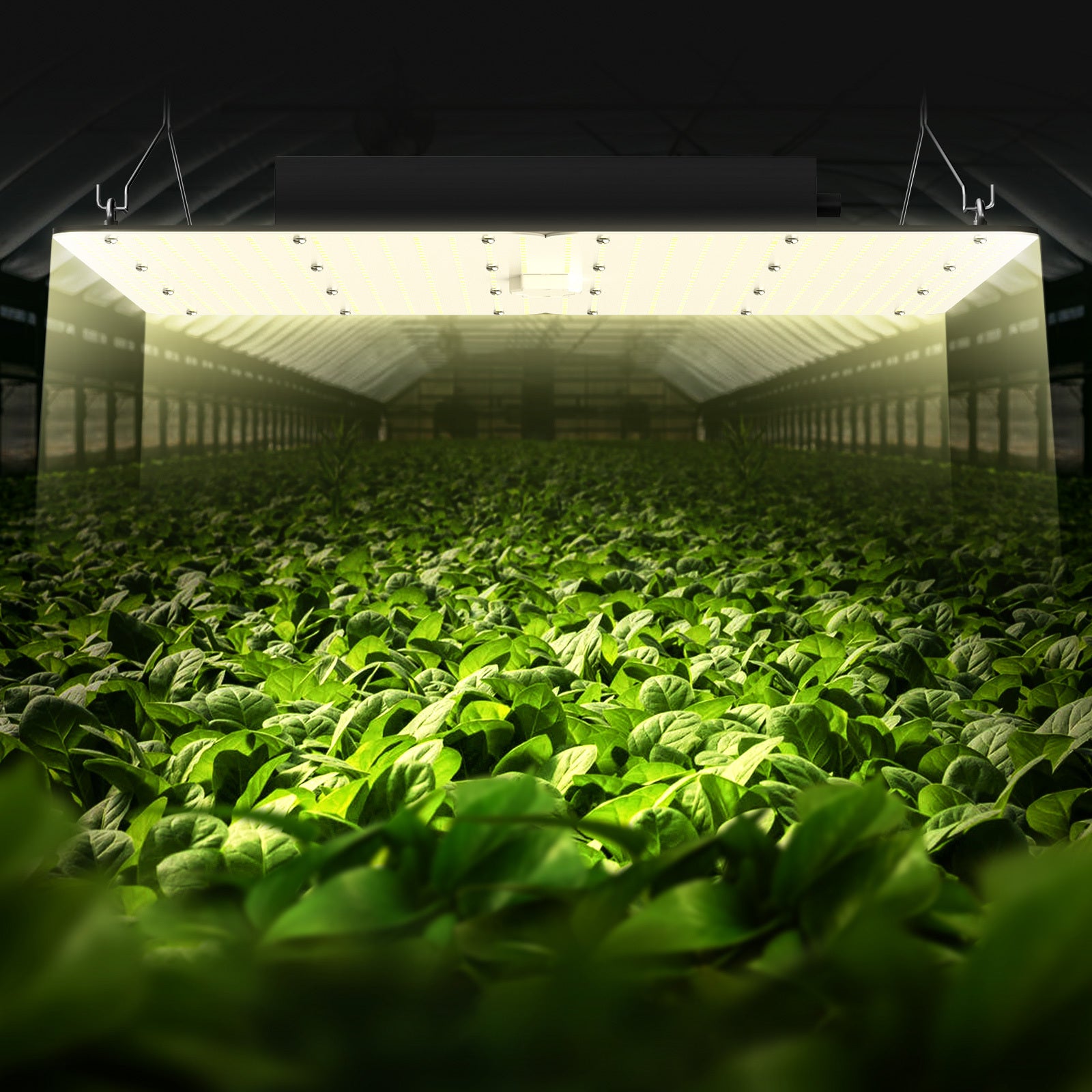 VEVOR 400W Dimmable LED Grow Light, Full Spectrum Samsung 2B1B Diode Grow Lamp, Daisy Chain Compatible for 4x4/5x5FT Grow Tent, Seedling Vegetation Bloom