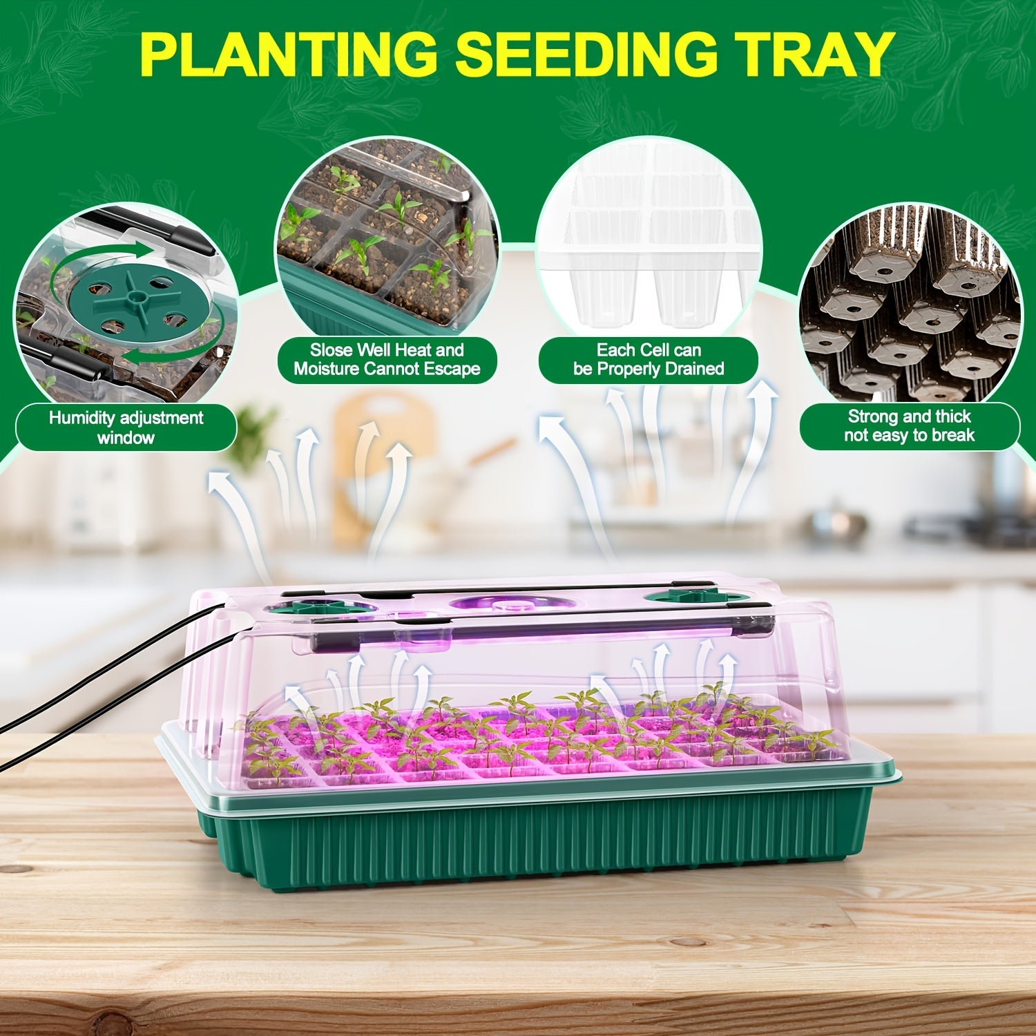 2 Pcs 40-Cell Seed Starter Tray Set with Grow Light | OYEAL Mini Greenhouse, for Seed Growth Germination, USB Powered, Plastic Material