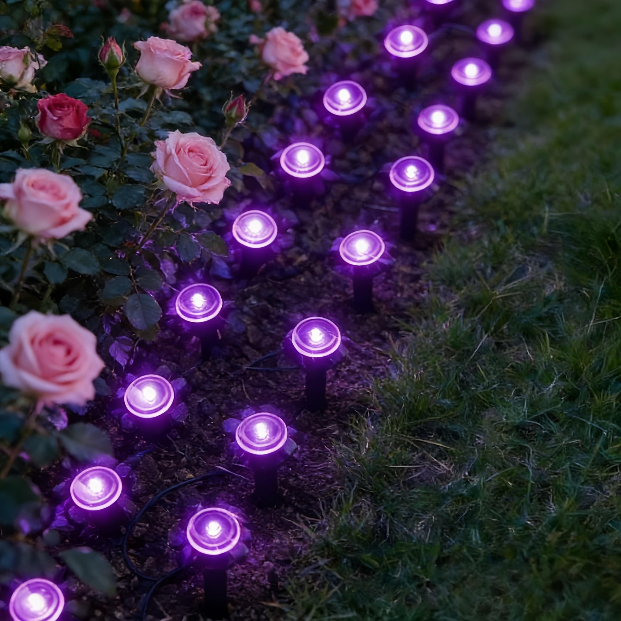 30 LED Solar Garden Light, Purple Fairy Light, IP44 Waterproof Durable, Ground Insert Outdoor Garden Lamp, Decorative Lighting for Walkways, Lawns, Camping Parties etc.
