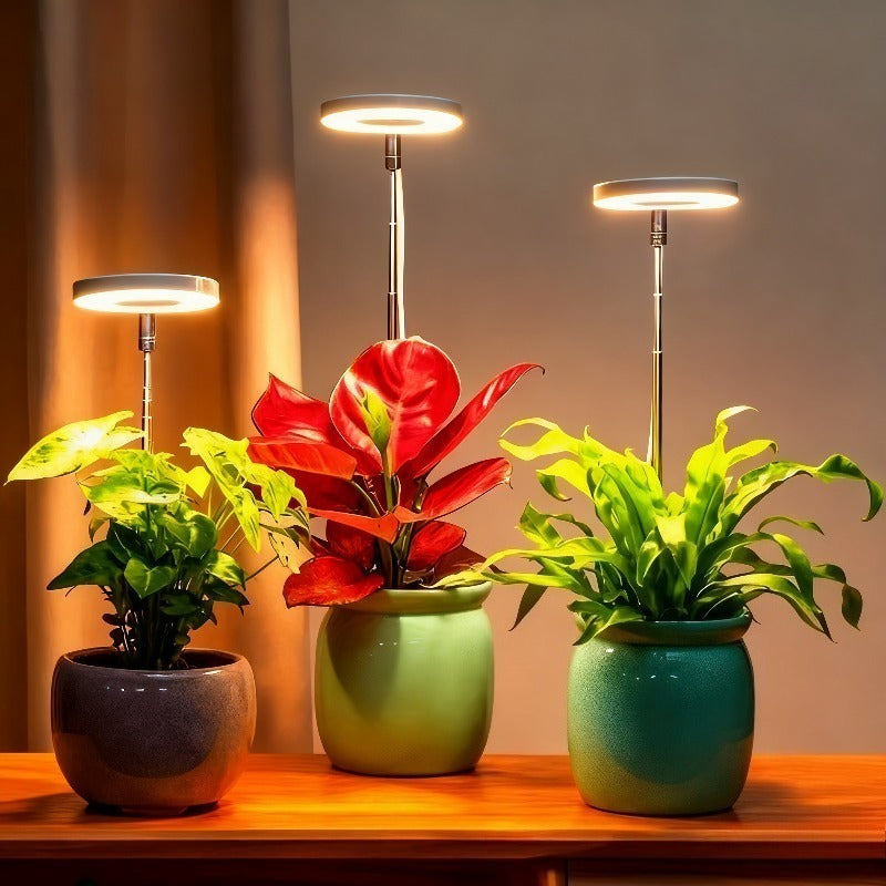LED Plant Grow Light, Built-in 3/9/12 Hours Auto Timer and Dimmable Function, Height Adjustable. Perfect for indoor plants, herbs, vegetables and flowers in kitchen and home environments. USB Powered Adjustable Desk Lamp