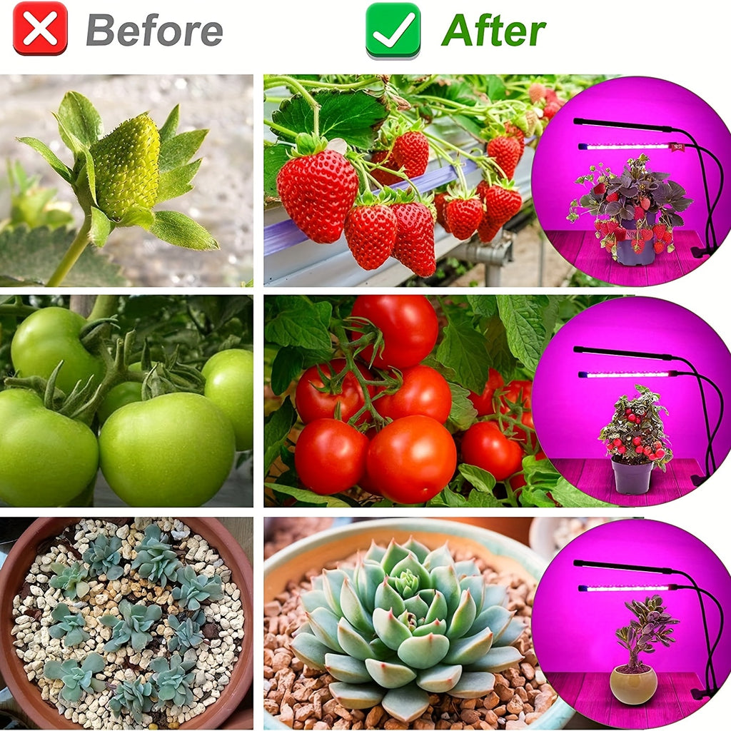 Grow Healthy Indoor Plants with This USB Phyto Lamp LED Plant Grow Light