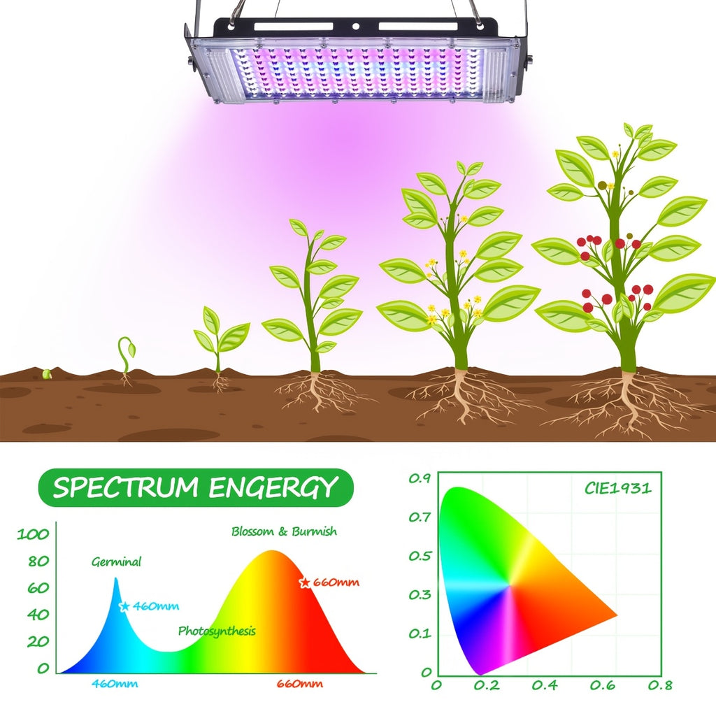 1-4 Pack 50/96/144 LED Full Spectrum Plant Grow Light, Ideal for Indoor Plant Seed Germination, Blooming and Fruiting, Equipped with 59 Inch Power Cord, USB Plug and Switch, Low Voltage 5V