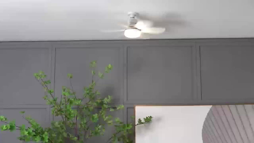 20.5 Inch Smart Ceiling Fan Light with Remote Control, LED Lighting, 3-Speed Low Noise Airflow, 3 Color Temperatures 3000K-6500K, E26/E27 Base Fan Light, Tool-Free Installation & Timing Function, Ideal for Bedroom