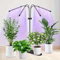 Jirbeey 80 LEDs Indoor Plant Grow Light, Full Spectrum Plant Light for Indoor Plants, 3 Modes, 3/9/12H Timer, 20%-100% Brightness Dimmable Indoor Plant Growing Lamp
