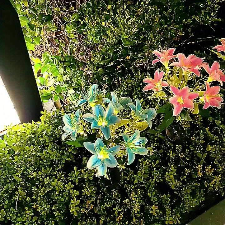 Solar 7-Head Lily Flower Light 42 LED Beads Outdoor Pink Garden Solar Light Outdoor Decoration, Solar Light Suitable for Outdoor Courtyard Patio Garden Outdoor Decoration