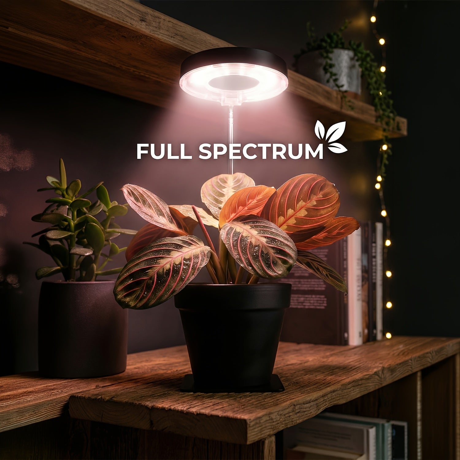 2-Pack Full Spectrum Indoor Plant Grow Light, 720° Rotatable Lamp Head, Retractable Pole, Stable Base, 4 Dimming Modes, 3/6/9H Auto Timer, Ideal for Small Potted Plants in Low-Light Corners