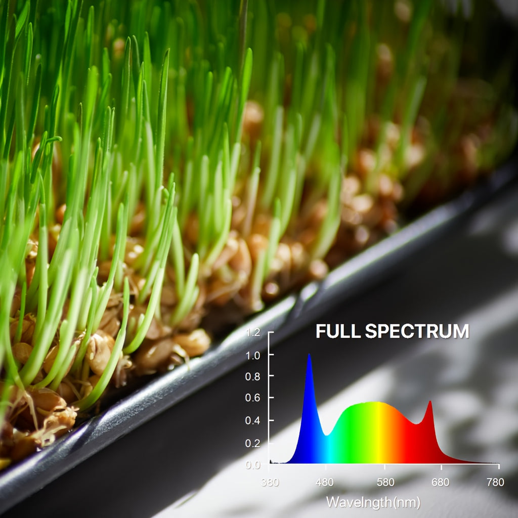 1-Pack LED Plant Grow Light Bulb, 110-130V AC 9W E26 Medium Base, 6500K High Bright Cool White Full Spectrum Grow Lamp, Ideal for Seeding & Indoor Plant Lighting, Perfect Sunlight Replacement