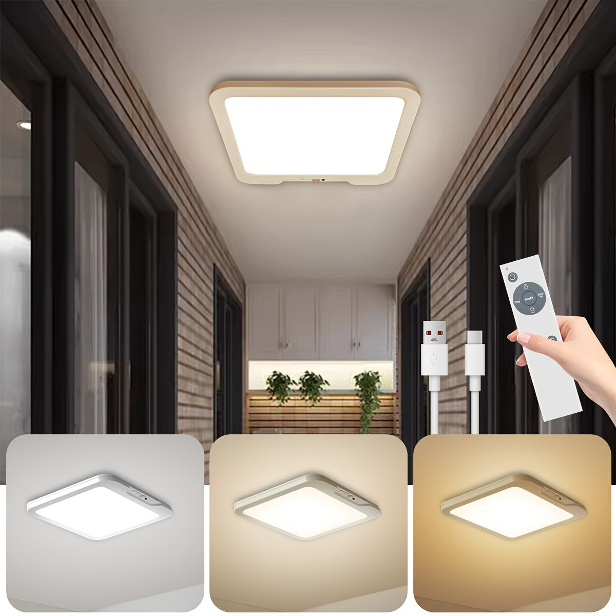 Indoor Ceiling Light, Color Adjustable Ceiling Light, Ceiling Lamp, Indoor Decorative Light
