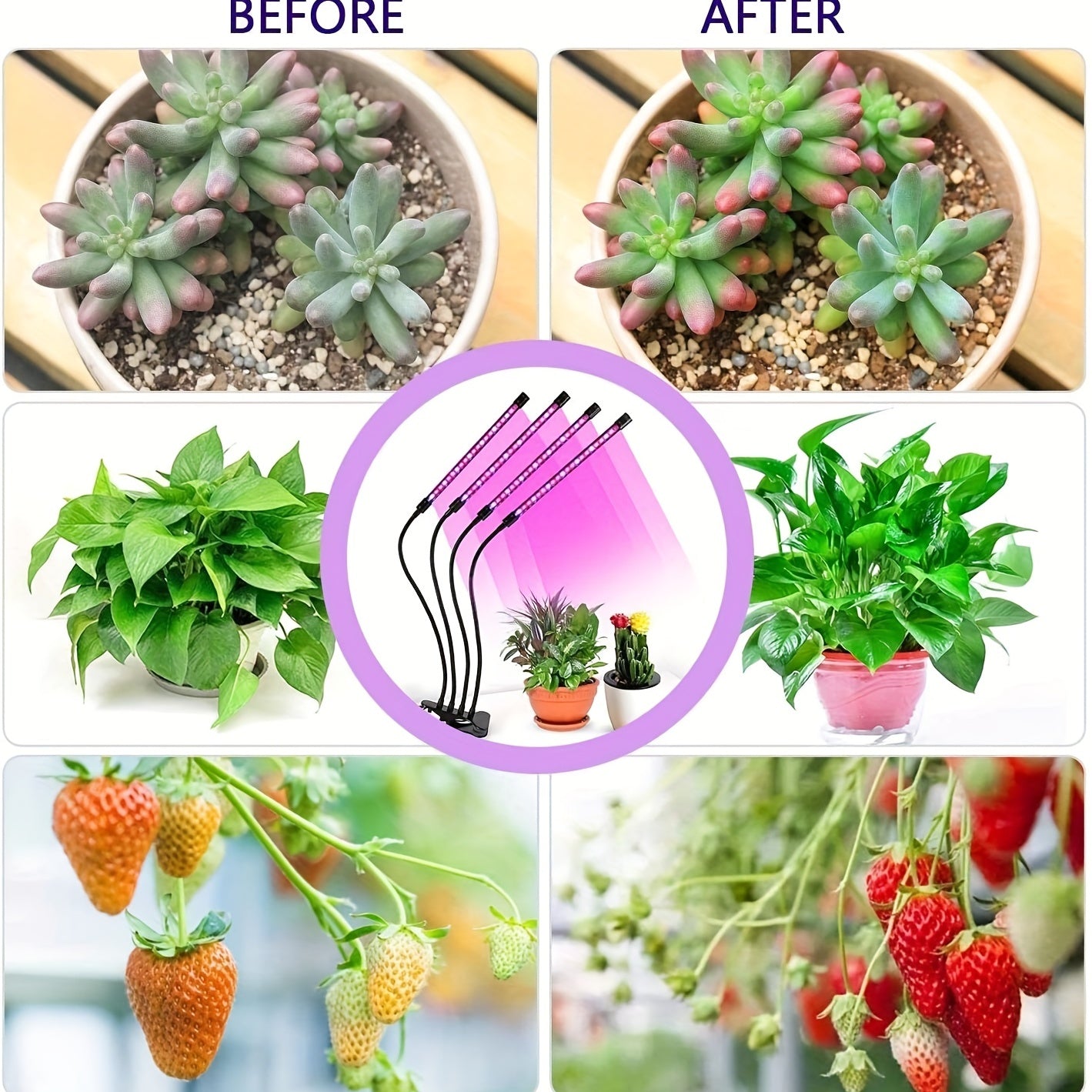 Grow Healthy Indoor Plants with This USB Phyto Lamp LED Plant Grow Light