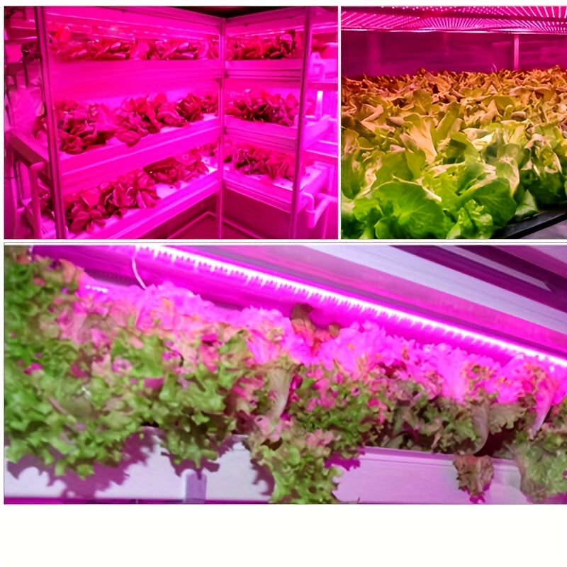 智能全光谱LED植物生长灯带——USB供电室内植物生长灯，配备LED灯带，适用于幼苗、室内植物、温室园艺，USB供电照明