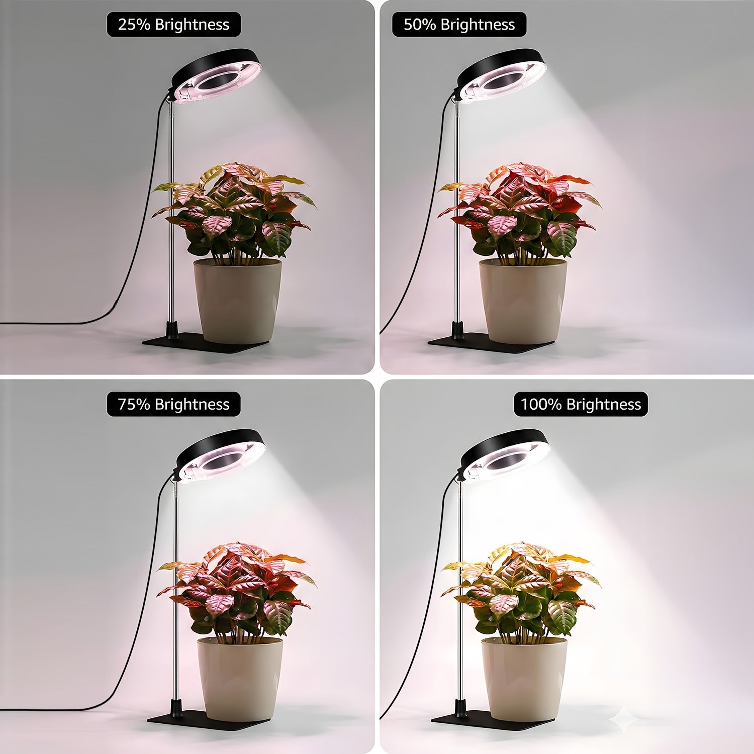 2-Pack Full Spectrum Indoor Plant Grow Light, 720° Rotatable Lamp Head, Retractable Pole, Stable Base, 4 Dimming Modes, 3/6/9H Auto Timer, Ideal for Small Potted Plants in Low-Light Corners