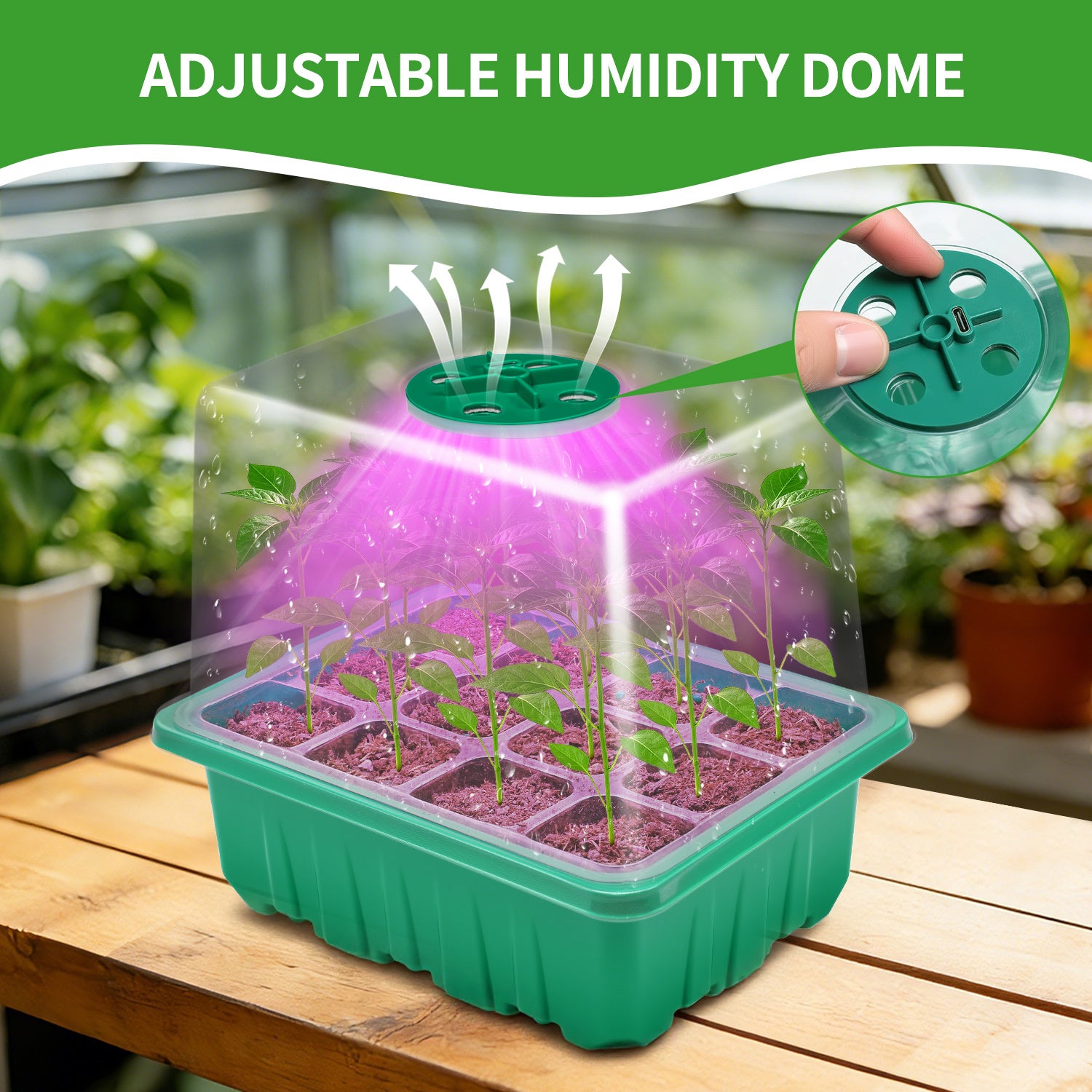 Seedling Tray with Grow Light, Drainage Holes Design, USB Powered LED Plant Grow Light, Ideal for Indoor Seedlings Flowers Greenhouse Plant Tray