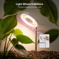 3-Pack Indoor Plant Grow Light, 720° Magnetic Mount Head, Full Spectrum, Height Adjustable, 3/6/9H Timer & Brightness Dimmable, for Tall Floor Plants, White