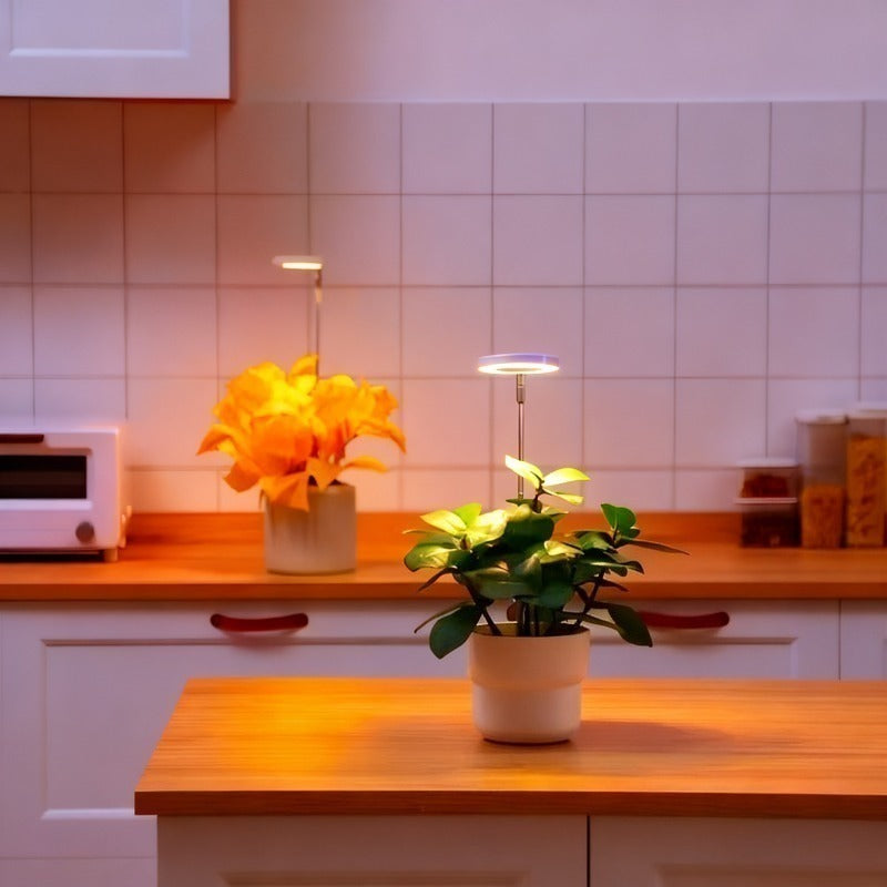 LED Plant Grow Light, Built-in 3/9/12 Hours Auto Timer and Dimmable Function, Height Adjustable. Perfect for indoor plants, herbs, vegetables and flowers in kitchen and home environments. USB Powered Adjustable Desk Lamp