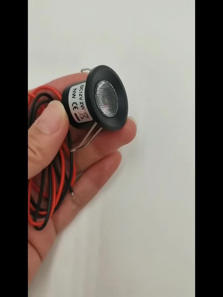 迷你天花灯 LED小拇指灯 DC12V 开孔27mm 嵌入式2W小射灯适用于橱柜 酒柜 珠宝展示柜 圣诞节装饰 餐厅 朋友聚会