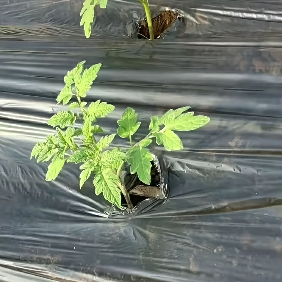 银黑双色地膜 反光塑料膜 种植塑料膜 花园果园菜园保温保湿增温加厚除草地面覆盖物除草保湿地膜，重型除草屏障，保水包肥 减少灌溉用水 节约肥料 花园除草布，适用于花坛、菜园，花园等