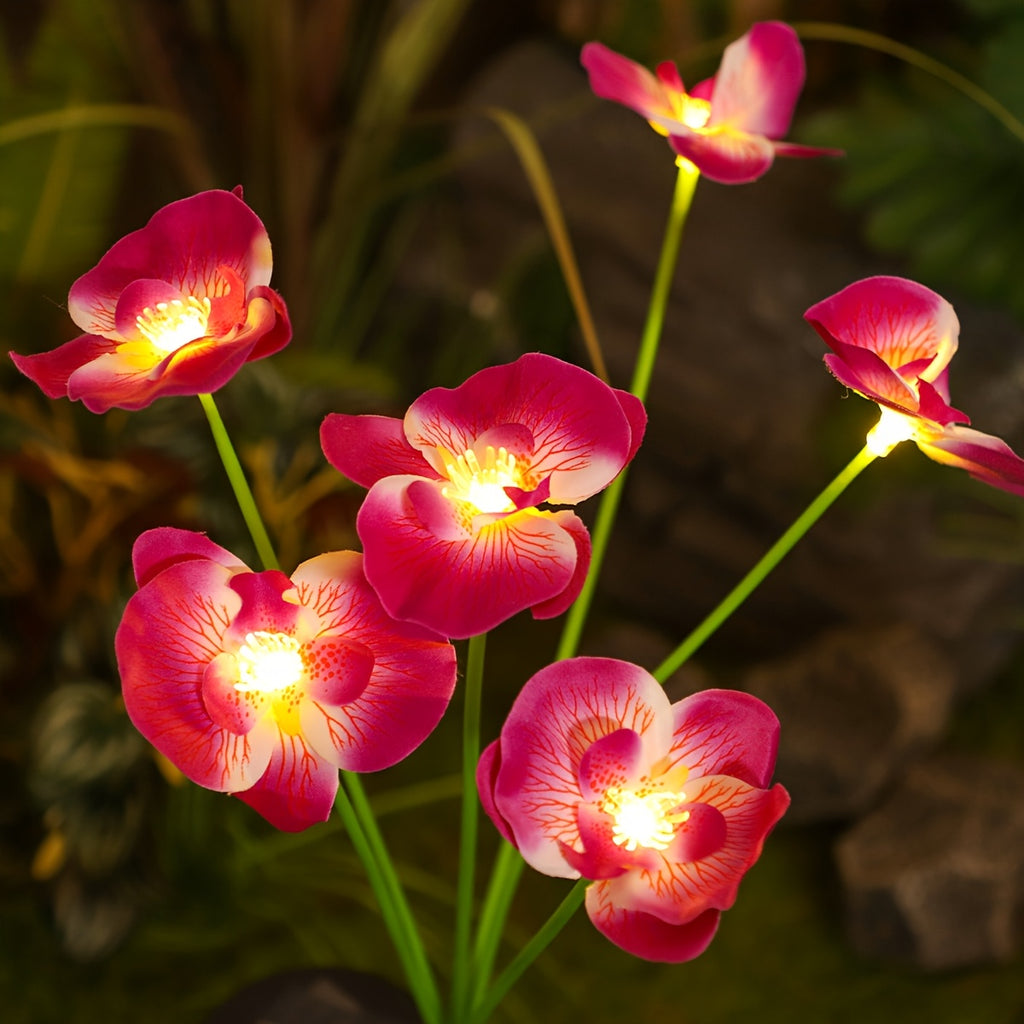 Phalaenopsis Solar Light Outdoor Decoration - Smart Sensor Automatic Brightness Adjustment, Garden Path Courtyard Lighting, Perfect Holiday Gift