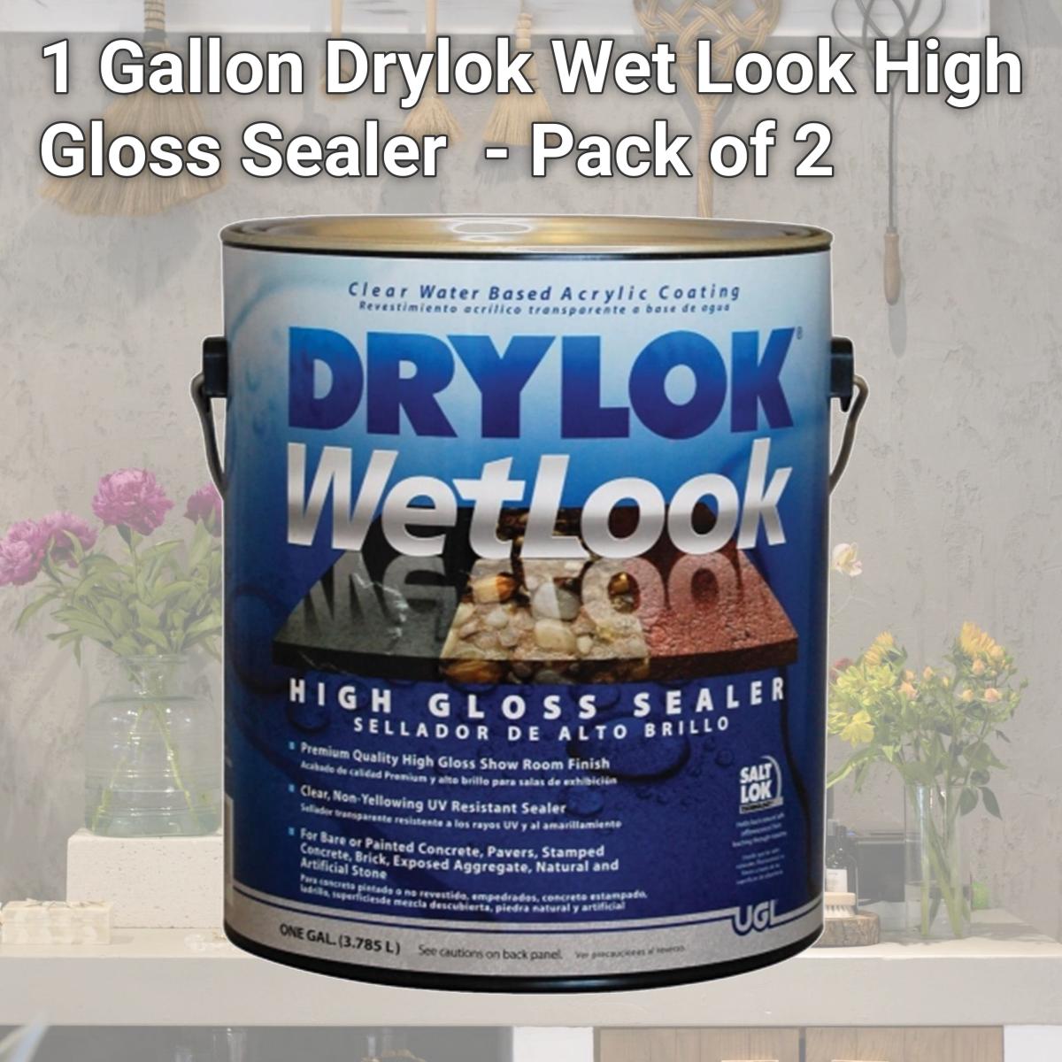 212 Main 1加仑 Drylok 潮湿外观高光泽密封剂 - 2罐装