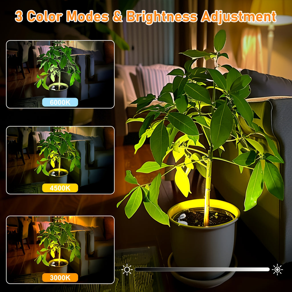4-pack wireless LED spotlight indoor model, battery-powered plant grow light with 3 color temperatures tree lamp, picture frame light with remote control, white decorative light dedicated to displaying artworks/dartboard