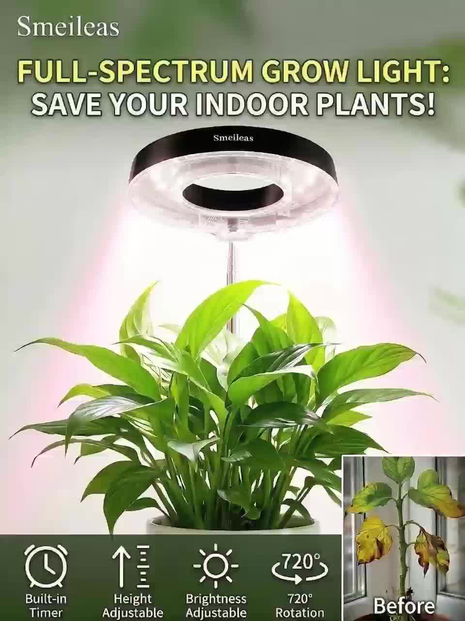 2-Pack Indoor Plant Desk Grow Light with Base, 720° Magnetic Rotatable Full Spectrum Lamp Head, Height Adjustable, 3/6/9H Timer & Dimmable, for Seedlings, Black